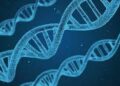 Massive DNA study of human cancers offers new clues about their causes