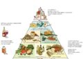 Virtual cooking class improves children’s nutrition knowledge