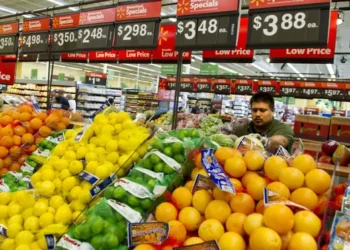 Americans waste 150,000 tons of food each day