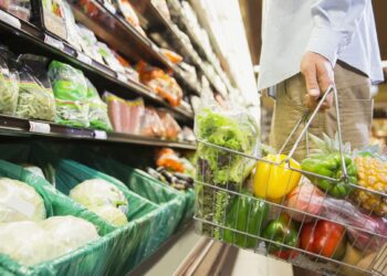 The Current US Food Safety System