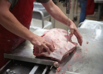 What is industrial meat and why is it considered harmful