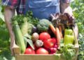 HEALTHY FOOD IS ESSENTIAL FOR ALL