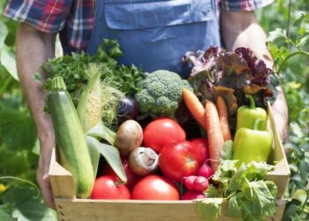 HEALTHY FOOD IS ESSENTIAL FOR ALL